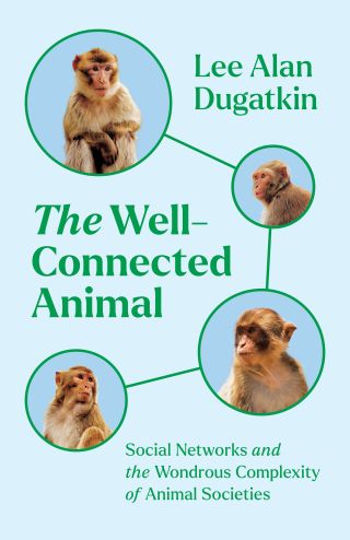 Social Networks and the Complexity and Beauty of Animal Life
